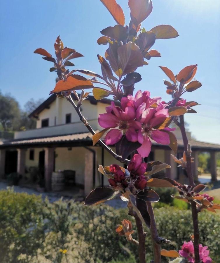 Casale Terre Rosse Saturnia Exterior foto